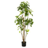 Emerald kunstboom in pot aralia 160 cm - thumbnail