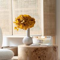 WoodWick ellipse candle island coconut - thumbnail