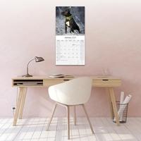 American Staffordshire Terrier Kalender 2026 - thumbnail