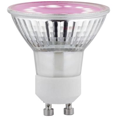Paulmann LED-plantenlamp groei 230 V GU10 3.5 W Barnsteen 1 stuk(s)