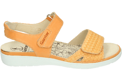 Ganter 200123 - alle