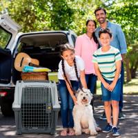 Skudo transportbox iata taupe / zand 79x59x65 cm - thumbnail