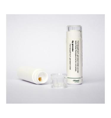 Causticum 4CH 6 Gram