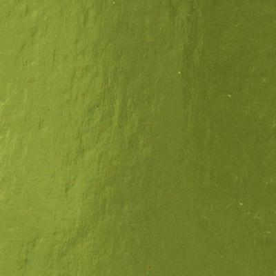 Tonic Studios • mirror card a4 x5 holly green