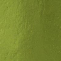 Tonic Studios • mirror card a4 x5 holly green - thumbnail