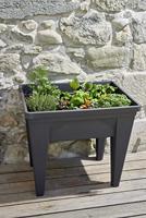 EDA 13925 G.ANT Hoogbeet „MAX” antraciet 75,6x55,6x68cm, 85 L 1 stuk(s) - thumbnail