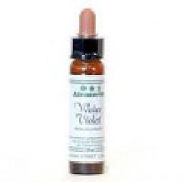 Ainsworths Rock water Bach 10 Milliliter