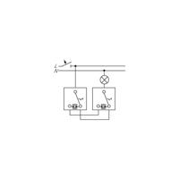 Busch-Jaeger 2000/6 US Wisselschakelaar Inzetstuk Duro 2000 SI Lineair, Duro 2000 SI, Reflex SI Lineair, Reflex SI, Solo, Alpha Nea, Alpha exclusive, Future - thumbnail