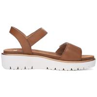 Ara 1233518 - alle - thumbnail