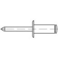 TOOLCRAFT TO-5381145 Popnagel 6 mm RVS 200 stuk(s) - thumbnail