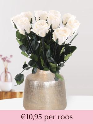 Crèmekleurige long life rozen - Kies je aantal van 5 t/m 20 Crèmekleurige long life rozen - Kies je aantal van 5 t/m 20