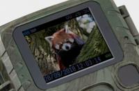 Technaxx Mini Nature Wild Cam TX-117 - thumbnail