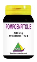 Pompoenpitolie 500mg 60 Capsules - thumbnail