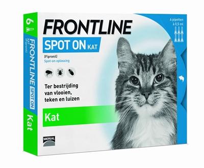 Frontline kat spot on