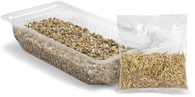 VITAKRAFT Kattengras - Kit voor katten - 120 g
