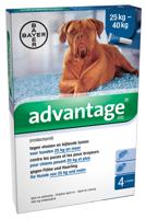 Advantage Hond 400 - thumbnail