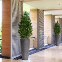 Pinus deluxe XL kunstplant 130cm - UV bestendig - thumbnail