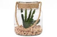Pot succulente Sable - thumbnail