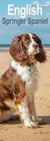 Engelse Springer Spaniel Kalender 2026 Slimline - thumbnail