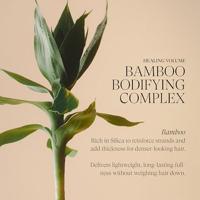 Conditioner L'ANZA Healing Volume - thumbnail