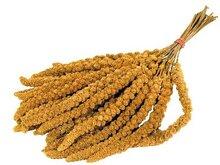 PRESTIGE TROSGIERST 300 GR PRESTIGE TROSGIERST 300 GR