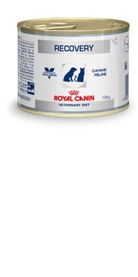 Royal Canin Recovery 195gr