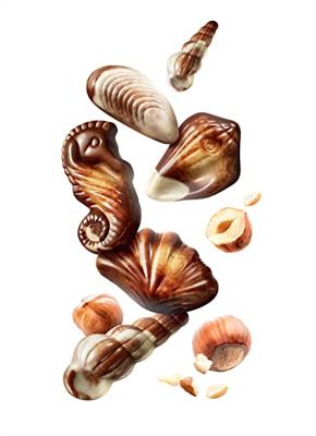 Guylian zeevruchten chocolade, doos van 500 gram