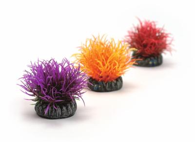 BiOrb decobal set 3 gekleurd aquarium decoratie BiOrb decobal set 3 gekleurd aquarium decoratie