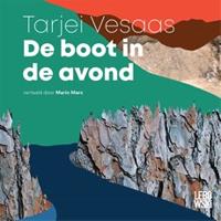 De boot in de avond - thumbnail