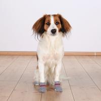 Sokken Trixie Grijs L Hond - thumbnail