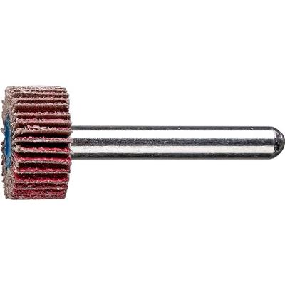 PFERD TOOLS 47802716 Lamellenslijper Diameter 20 mm 10 stuk(s)