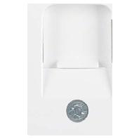 Berker centraalplaat computeraansluiting 1XRJ45 R1/R3 wit 11702089 - thumbnail