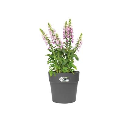 Elho Vibia Campana straight bloempot rond 25 cm antraciet - thumbnail