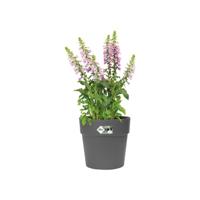 Elho Vibia Campana straight bloempot rond 47 cm antraciet - thumbnail