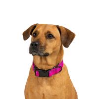 Jack and Vanilla Hondenhalsband - Nylon - Kliksluiting - Roze - 47 cm - thumbnail