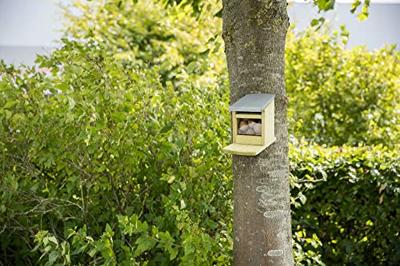 TRIXIE VOEDERHUIS EEKHOORN 18X12X24 CM