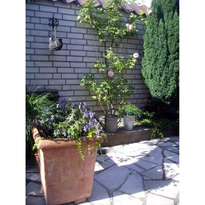 Nature Klimrek metl v-vorm 5-75x150 cm verzinkt