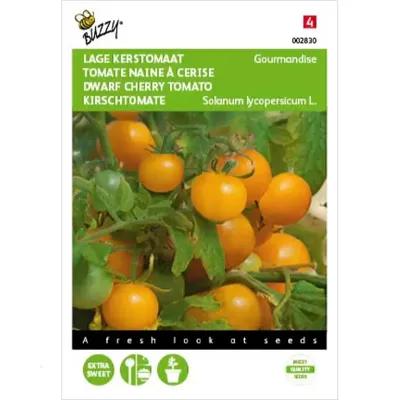 Zaden Tomaten Gourmandise (gele cherry patio) Buzzy - Buzzy