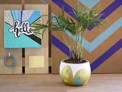 Verfstift pilot pintor assorti breedtes zwart Verfstift pilot pintor assorti breedtes zwart