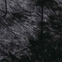 Hoogpolig vloerkleed NAVARRA 240x340 cm polyester zwart - thumbnail