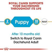 Royal Canin Puppy Dachshund (Teckel) hondenvoer 6 x 1,5 kg - thumbnail