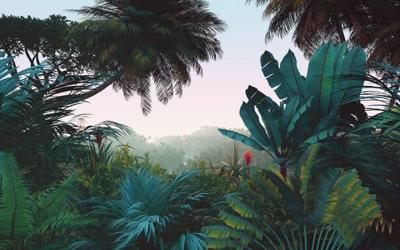 Komar Le Jardin Fotobehang Jungle Morning - LJX8-060