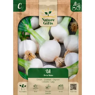 Ui de la reine per 5m