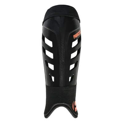 Princess Premium 10 Star Scheenbeschermer