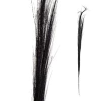 PTMD bundel gedroogd gras zwart 130 cm set van 3 | 24 stuks - thumbnail