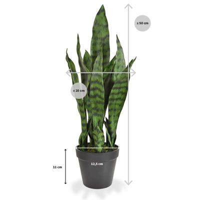 Sanseveria kunstplant N 50cm - groen