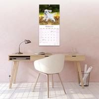 Engelse Setter Kalender 2026 - thumbnail