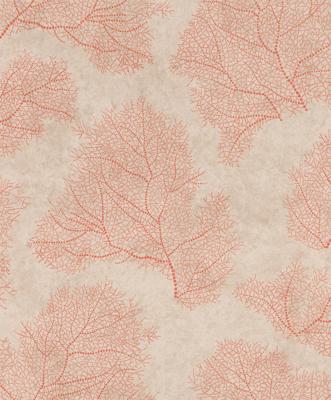 Emil & Hugo Moana 300474