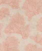 Emil & Hugo Moana 300474 - thumbnail