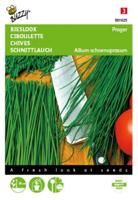 Bieslook Fijne - thumbnail